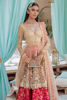 Pakistani Pink Embroidered Net Kalidaar with Ruby Brocade Lehenga (3-Piece) - Image 3