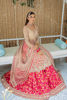 Pakistani Pink Embroidered Net Kalidaar with Ruby Brocade Lehenga (3-Piece) - Image 4