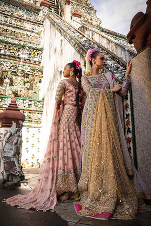 Pakistani Pastel Pink Embroidered Net Lehenga Choli (3-Piece) - Image 11