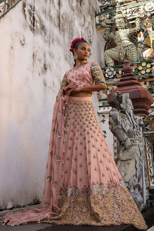 Pakistani Pastel Pink Embroidered Net Lehenga Choli (3-Piece) - Image 2