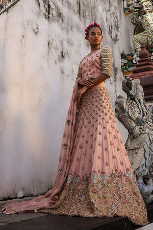 Pakistani Pastel Pink Embroidered Net Lehenga Choli (3-Piece) - Image 3