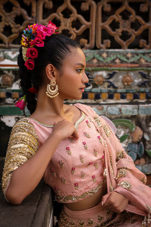 Pakistani Pastel Pink Embroidered Net Lehenga Choli (3-Piece) - Image 5