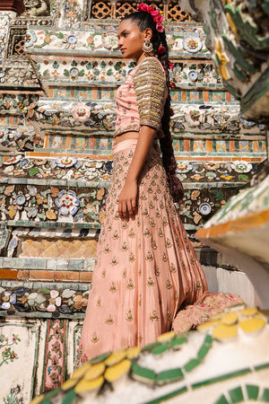 Pakistani Pastel Pink Embroidered Net Lehenga Choli (3-Piece) - Image 6