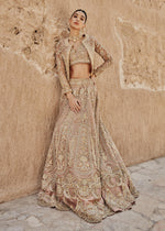 Pakistani Coral Embroidered Net Lehenga Set (3-Piece) - Image 4