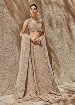 Pakistani Coral Embroidered Net Lehenga Set (3-Piece) - Image 8