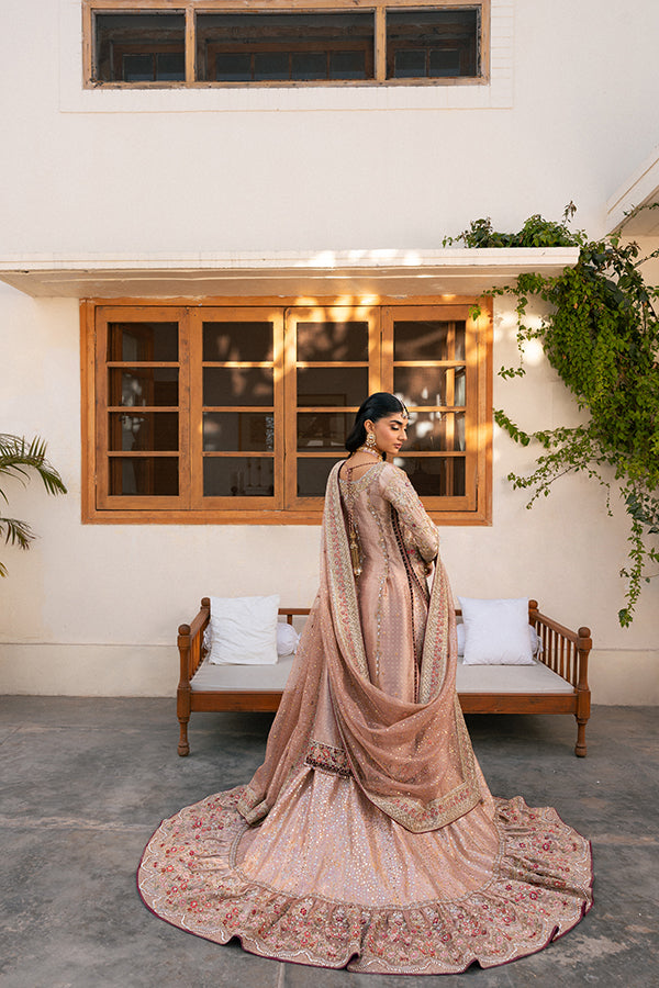 Dusty Rose Embroidered Net Farshi Lehenga (3-Piece) - Image 7