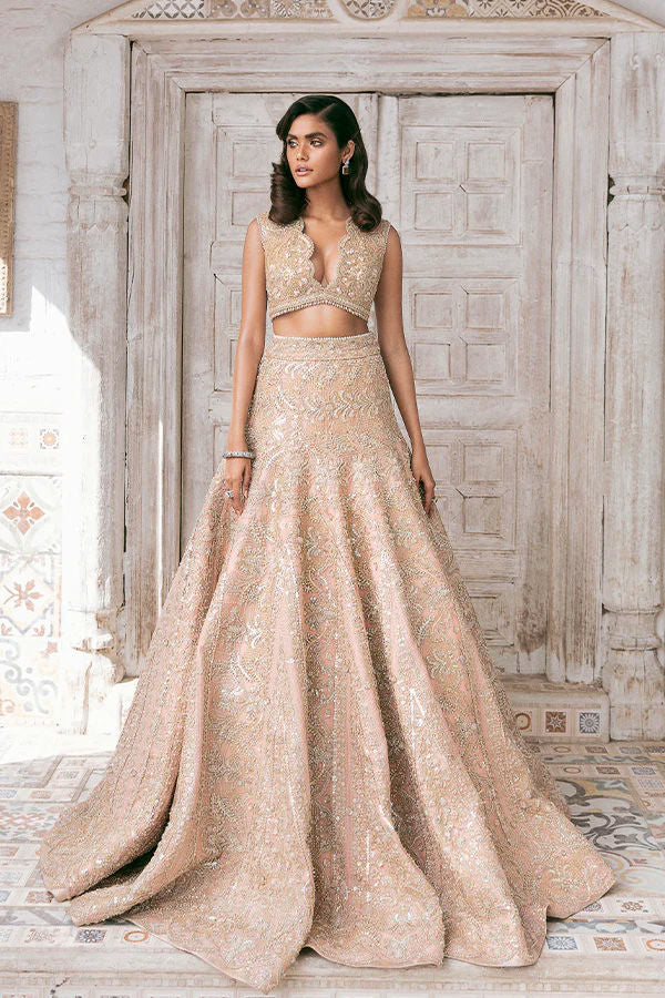 Blush Swarovski Embellished Net Organza Lehenga Choli (2-Piece) - Image 1