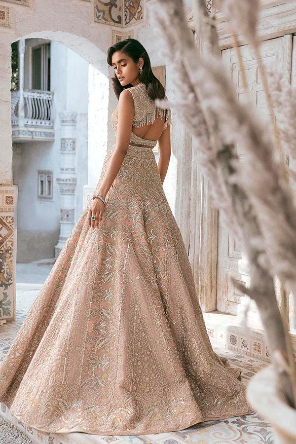 Blush Swarovski Embellished Net Organza Lehenga Choli (2-Piece) - Image 2