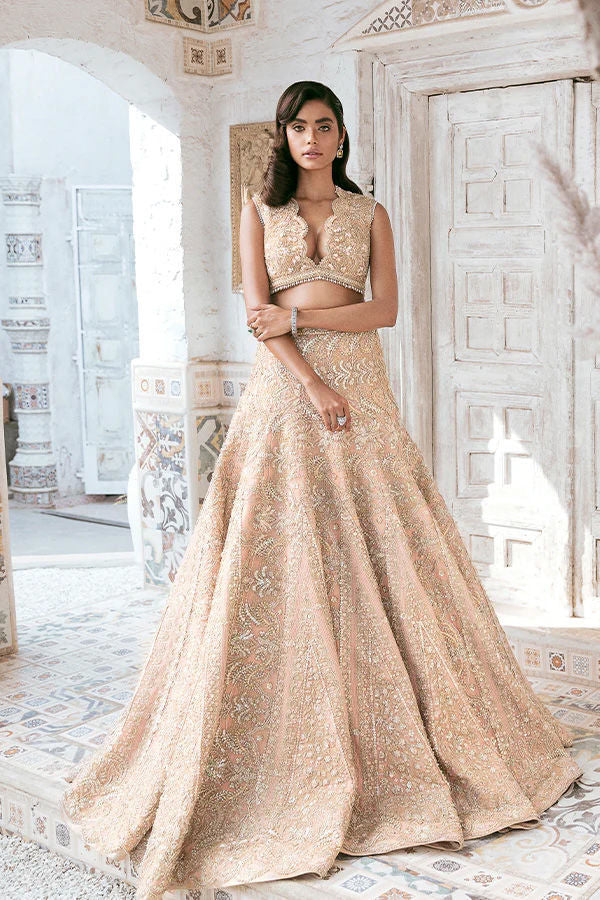 Blush Swarovski Embellished Net Organza Lehenga Choli (2-Piece) - Image 3