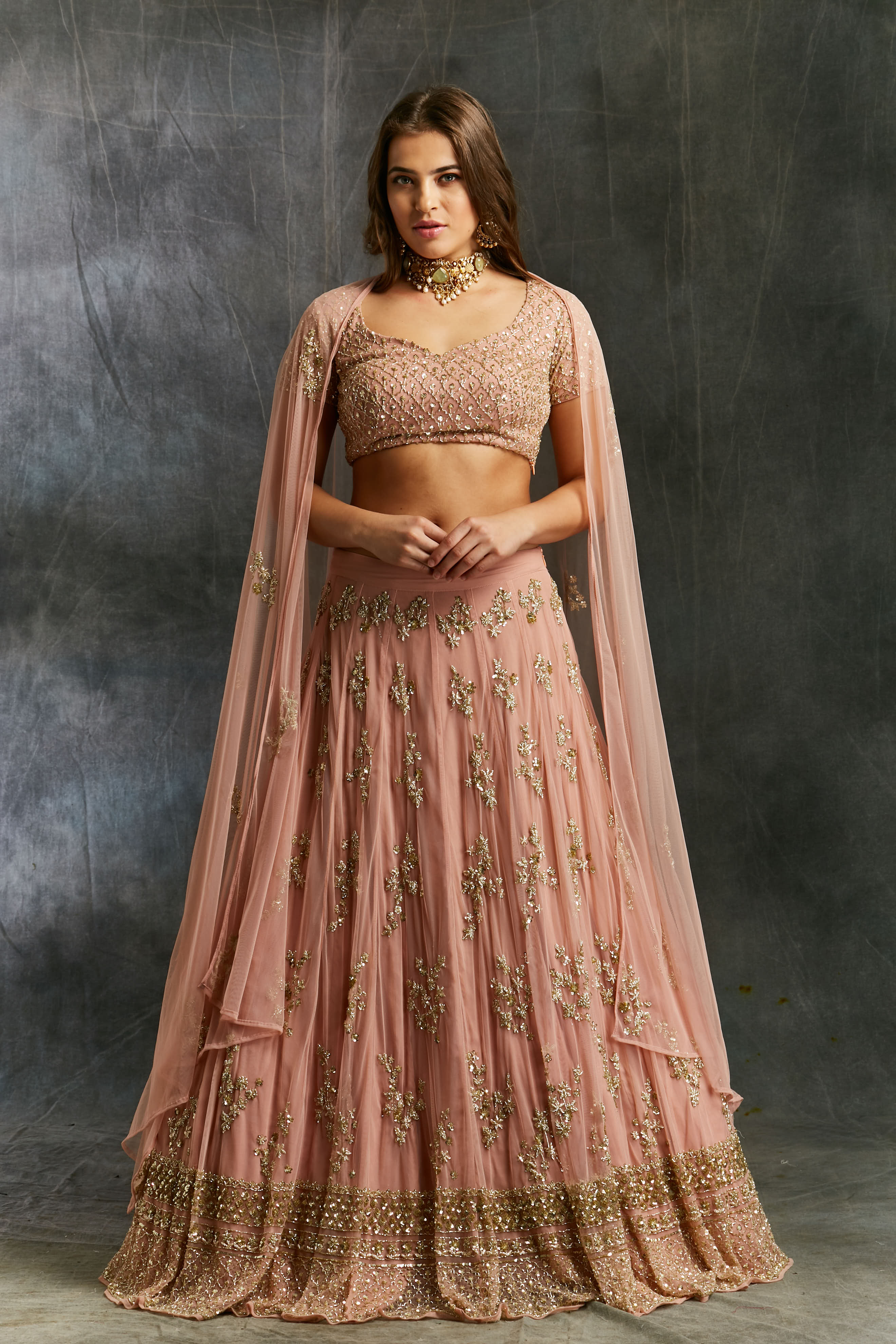 Indian Dusty Pink Embellished Net Lehenga Set (3-Piece) - Image 1