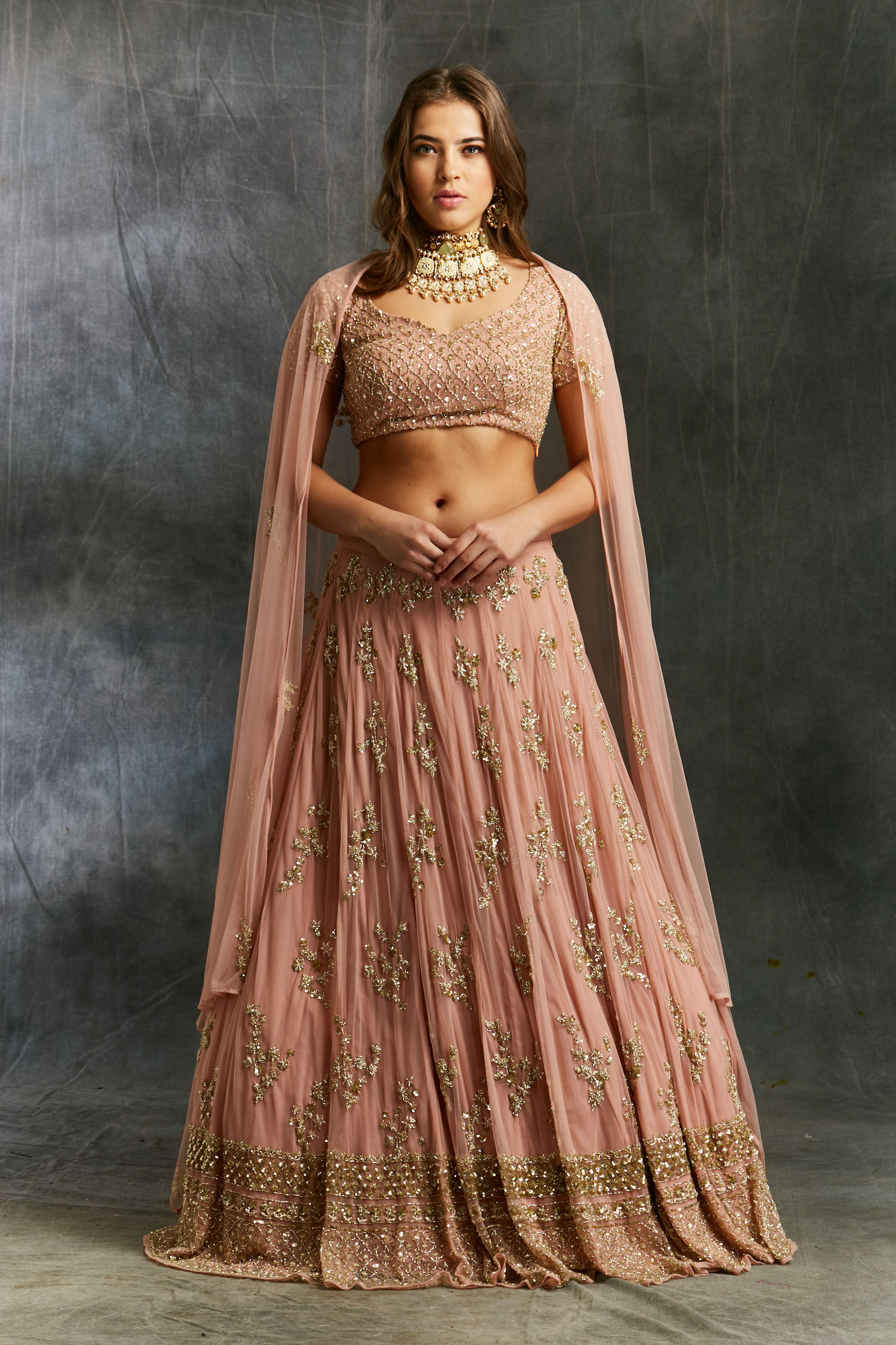 Indian Dusty Pink Embellished Net Lehenga Set (3-Piece) - Image 3