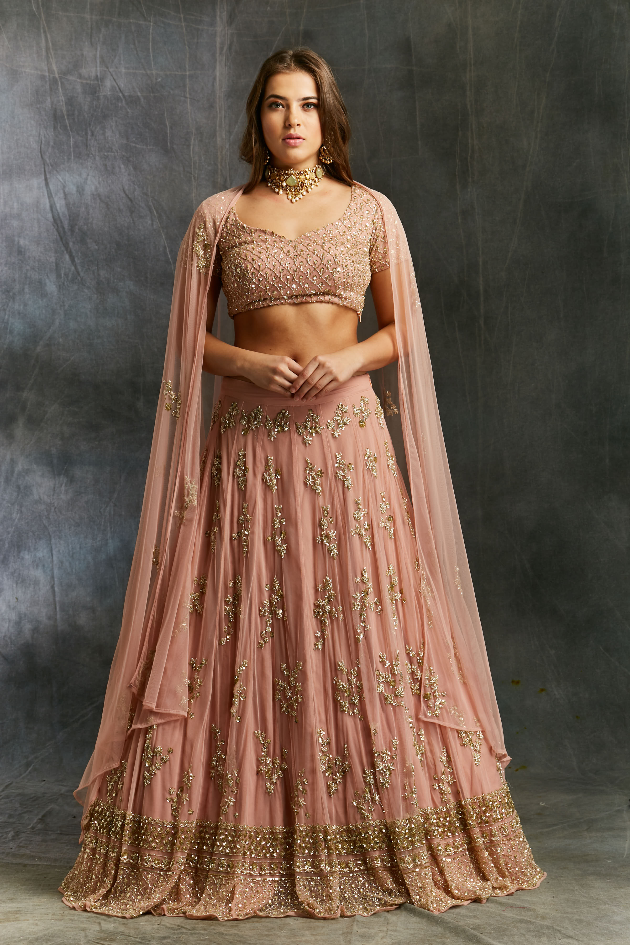 Indian Dusty Pink Embellished Net Lehenga Set (3-Piece) - Image 4