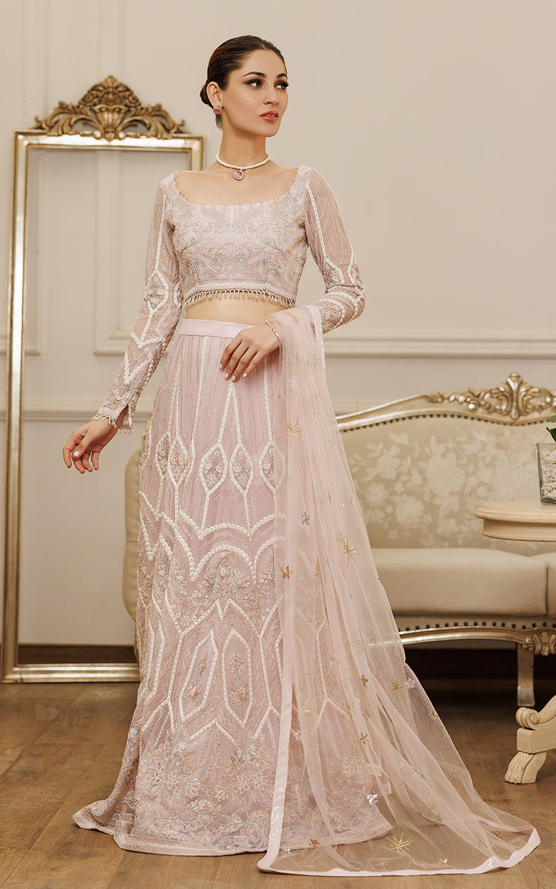 Blush Pink Embroidered Net Lehenga Set (3-Piece) - Image 5