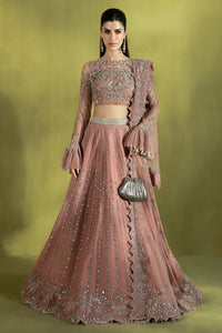 Pakistani Powder Pink Embellished Net Lehenga Choli (3-Piece) - Image 1