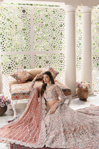 Pakistani Peach Embellished Net Bridal Lehenga Gown (3-Piece) - Image 3