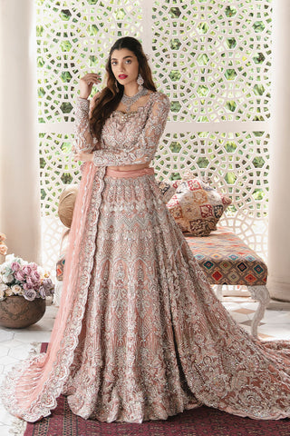 Pakistani Peach Embellished Net Bridal Lehenga Gown (3-Piece) - Image 6