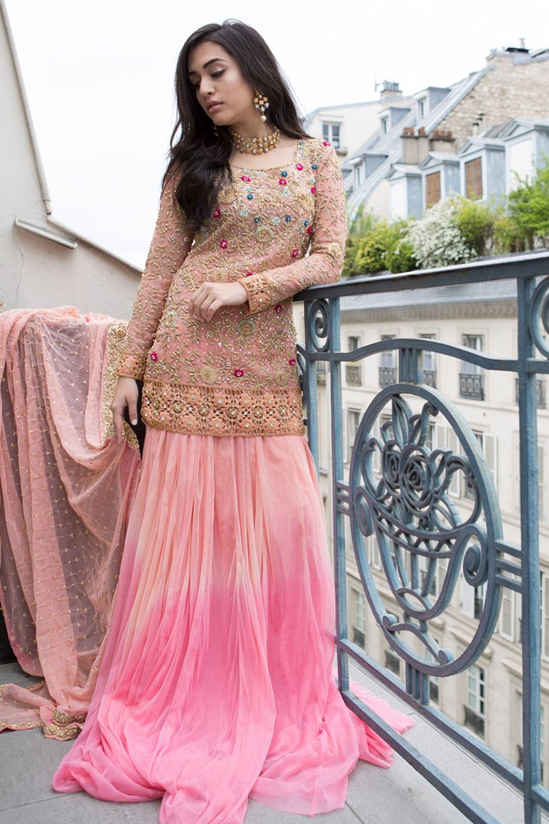 Pakistani Coral Embroidered Net Lehenga (3-Piece) - Image 1