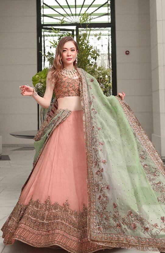 Pakistani Salmon Pink Embroidered Organza Lehenga (3-Piece) - Image 2