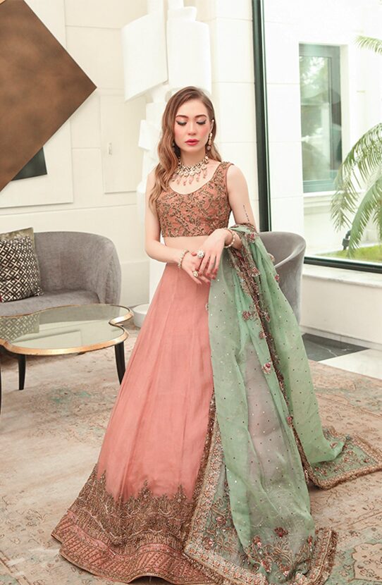Pakistani Salmon Pink Embroidered Organza Lehenga (3-Piece) - Image 4