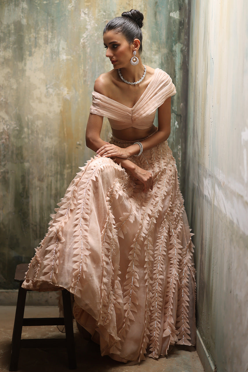 Nude Pink Embellished Organza Lehenga Set (2-Piece) - Image 2