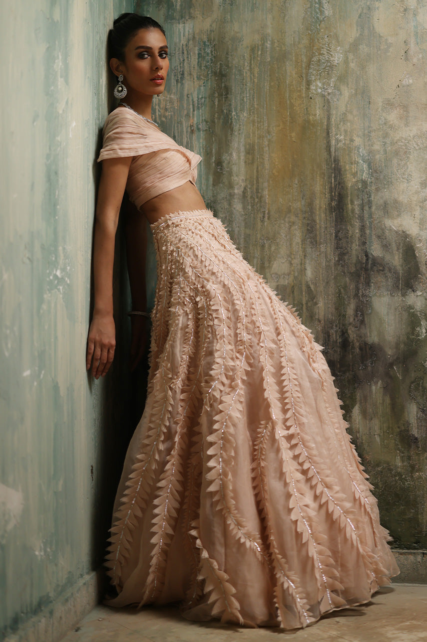 Nude Pink Embellished Organza Lehenga Set (2-Piece) - Image 3