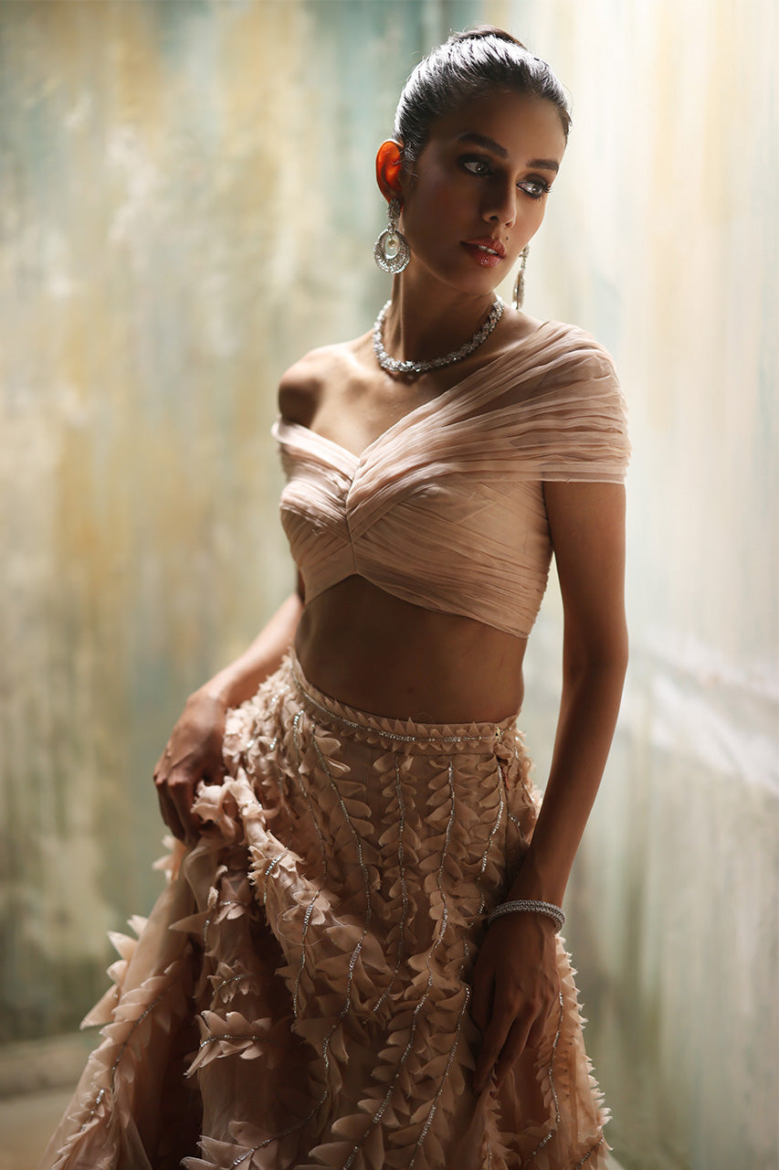 Nude Pink Embellished Organza Lehenga Set (2-Piece) - Image 4