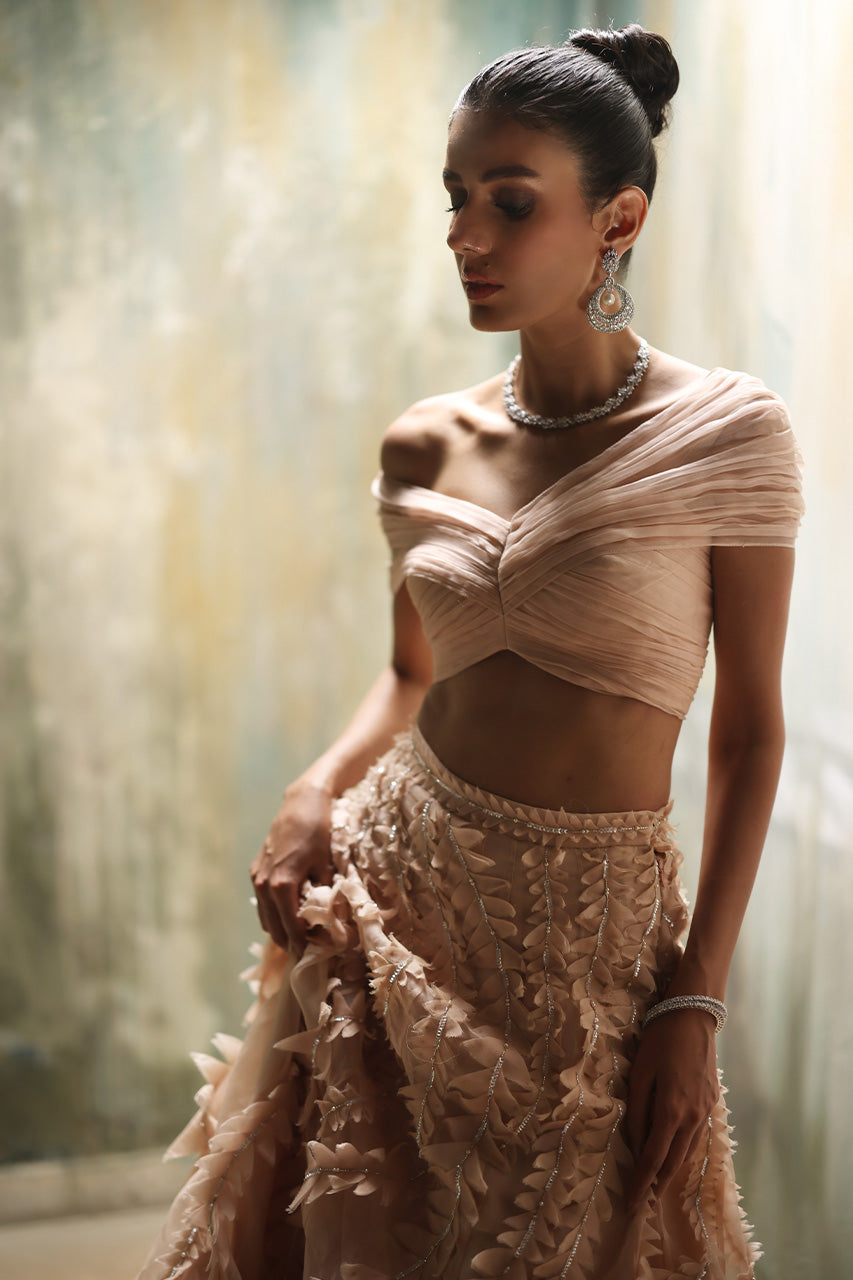 Nude Pink Embellished Organza Lehenga Set (2-Piece) - Image 5