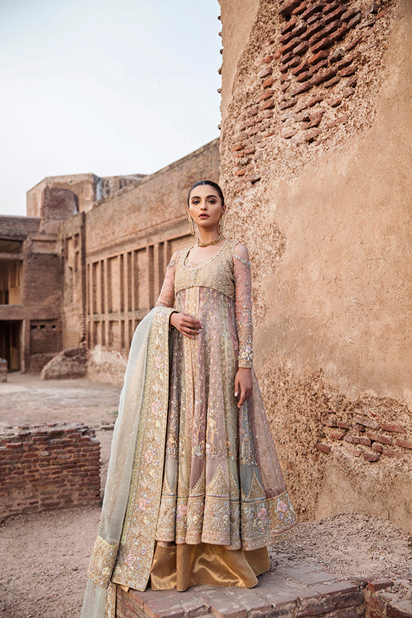 Pakistani Pastel Multi-Colour Embroidered Net Organza Lehenga (3-Piece) - Image 2