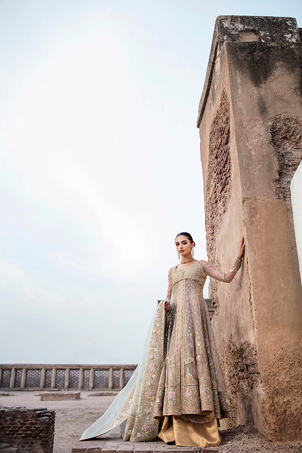 Pakistani Pastel Multi-Colour Embroidered Net Organza Lehenga (3-Piece) - Image 4