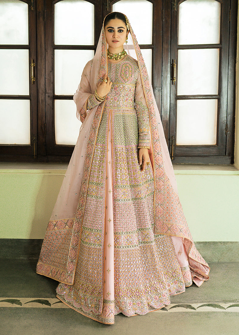 Powder Pink Embroidered Organza Gown with Lehenga (3-Piece) - Image 1
