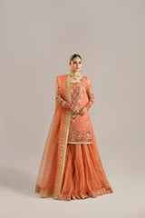 Peach Embroidered Organza Lehenga Set (3-Piece) - Image 4