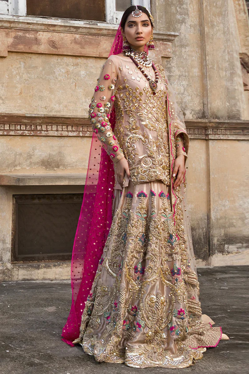Blush Zari Embroidered Organza Lehenga (3-Piece) - Image 1