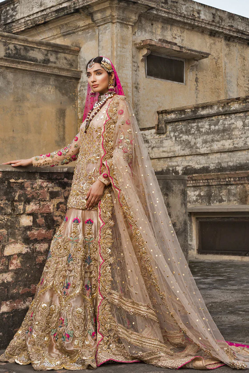 Blush Zari Embroidered Organza Lehenga (3-Piece) - Image 2