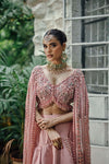 Pakistani Blush Pink Embellished Raw Silk Lehenga (3-Piece) - Image 4