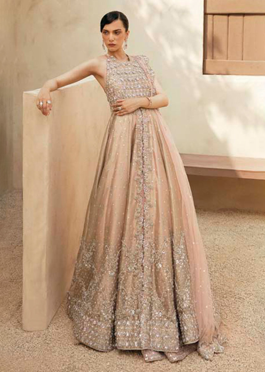 Peach Zardozi Tissue Gown with Raw Silk Lehenga (3-Piece) - Image 3