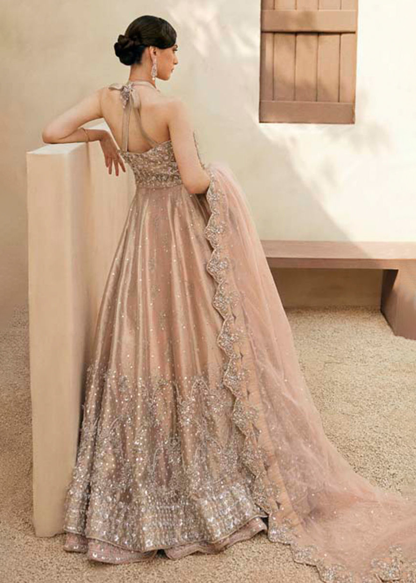 Peach Zardozi Tissue Gown with Raw Silk Lehenga (3-Piece) - Image 4
