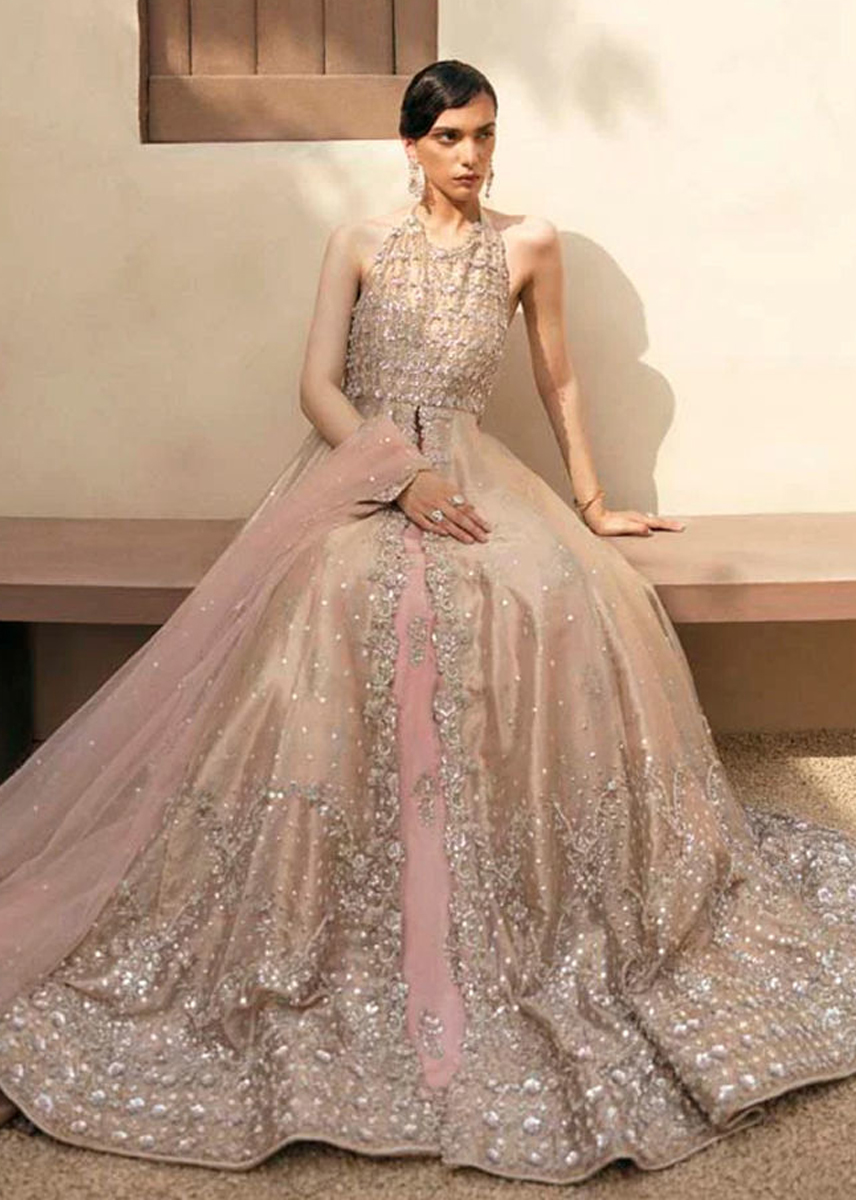 Peach Zardozi Tissue Gown with Raw Silk Lehenga (3-Piece) - Image 5