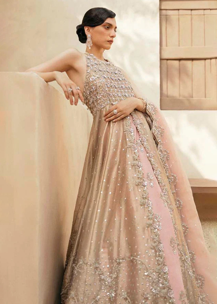 Peach Zardozi Tissue Gown with Raw Silk Lehenga (3-Piece) - Image 6