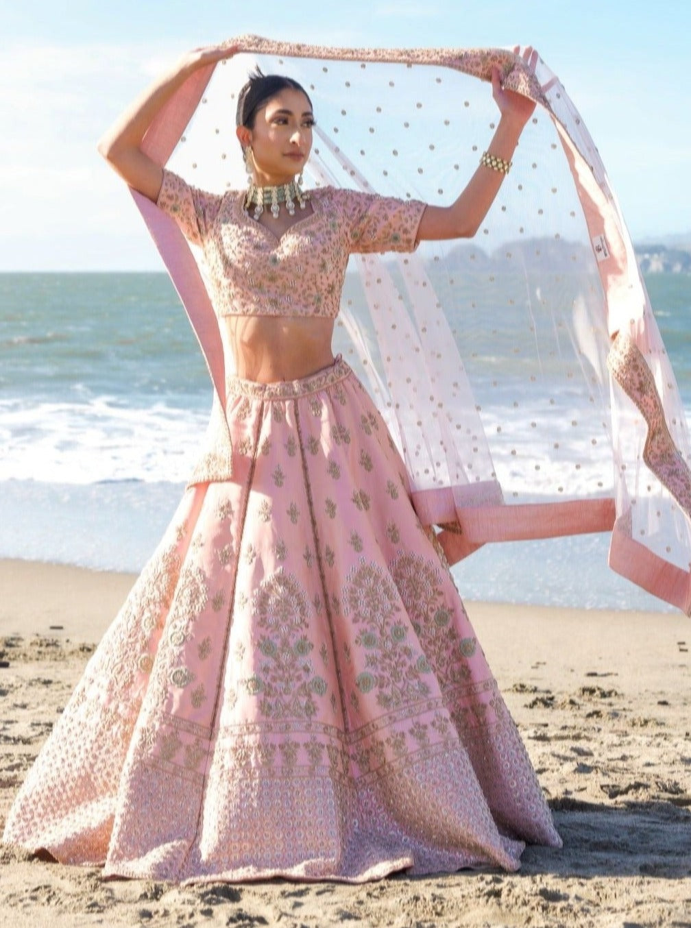 Blush Pink Zardozi Raw Silk Lehenga Choli (3-Piece) - Image 5