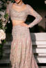 Pakistani Powder Pink Hand-Embellished Net Silk Bridal Lehenga (3-Piece) - Image 3