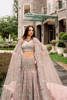 Pakistani Powder Pink Hand-Embellished Net Silk Bridal Lehenga (3-Piece) - Image 8