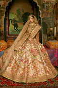 Pakistani Goshi Embroidered Tissue Lehnga Choli (3-Piece) - Image 3