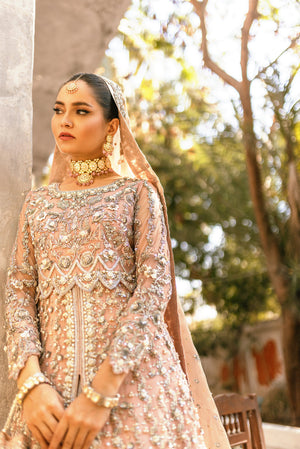 Soft Salmon Pink Embroidered Tissue Kalidar Peshwas (3-Piece) - Image 2