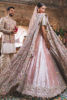 Pakistani Soft Pink Embellished Tissue Lehnga Choli (3-Piece) - Image 5