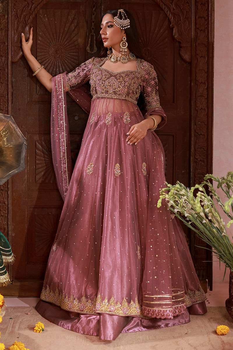 Pakistani Falsa Embroidered Tissue Lama Kalidaar Lehenga (3-Piece) - Image 4