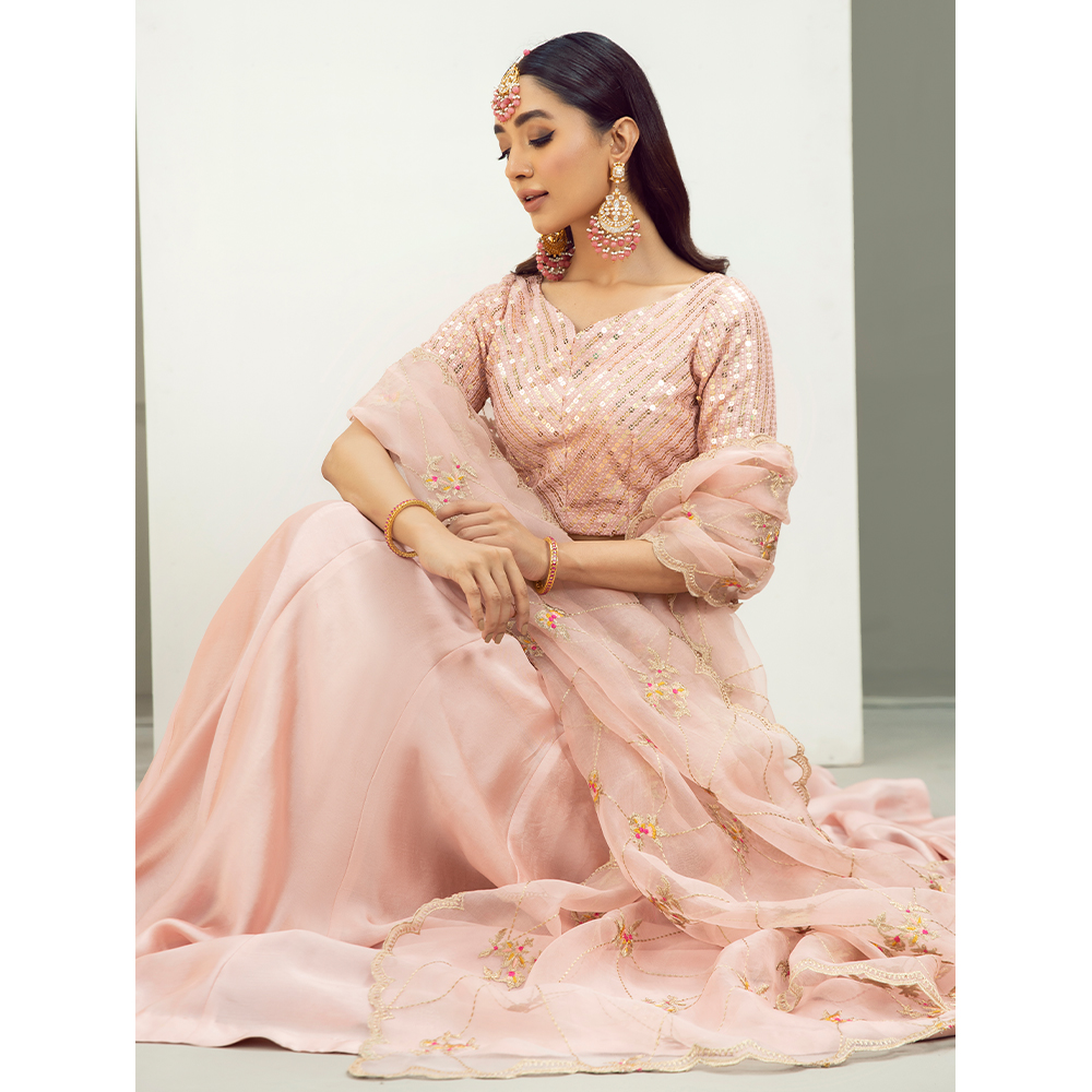 Pakistani Blush Pink Embroidered Georgette & Tissue Silk Lehenga (3-Piece) - Image 5