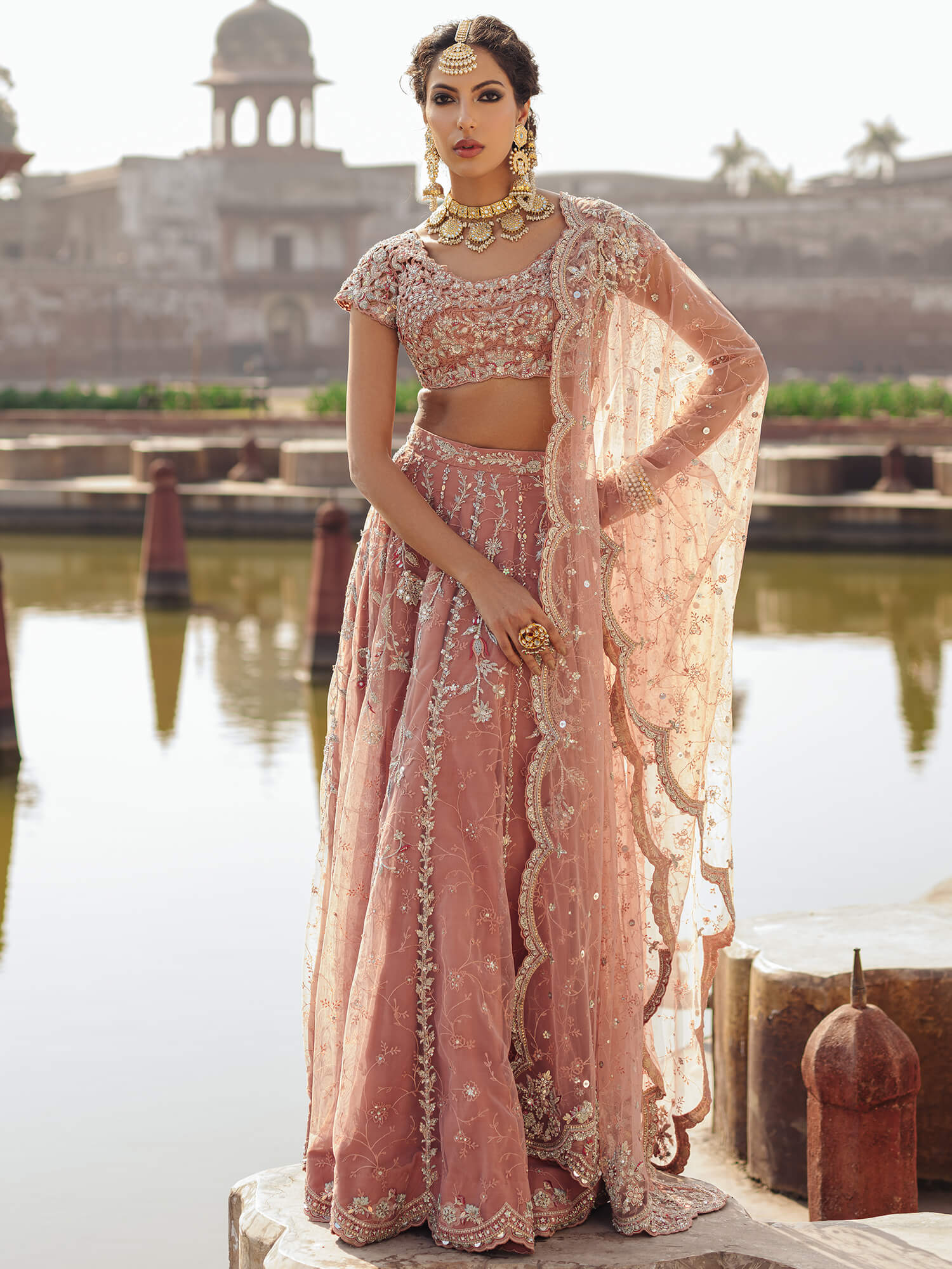 Pakistani Chai Pink Zardozi Tissue Lehenga Choli (3-Piece) - Image 1