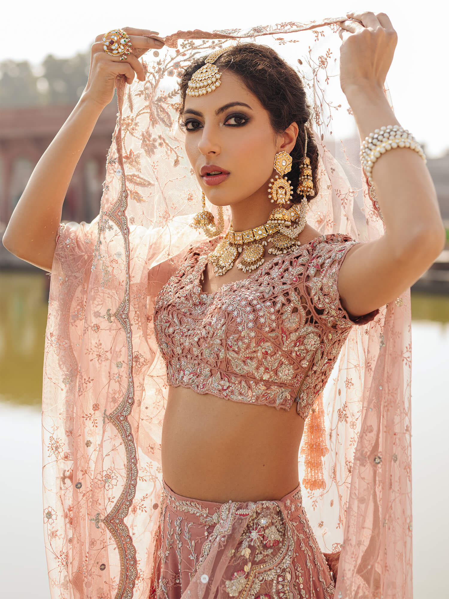 Pakistani Chai Pink Zardozi Tissue Lehenga Choli (3-Piece) - Image 2