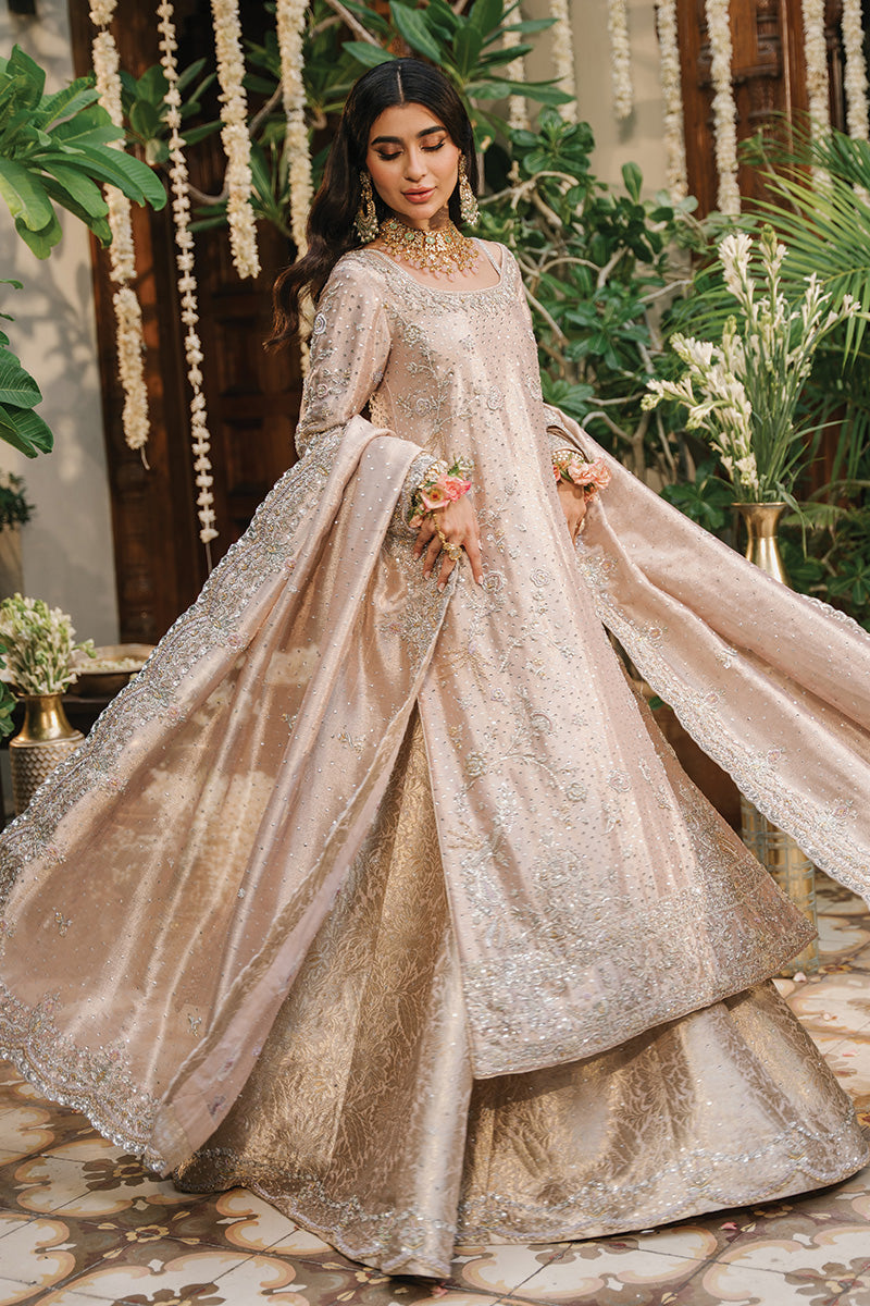 Soft Pink Zari Net & Jamawar Lehenga (3-Piece) - Image 4
