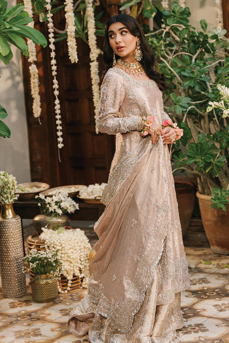 Soft Pink Zari Net & Jamawar Lehenga (3-Piece) - Image 6